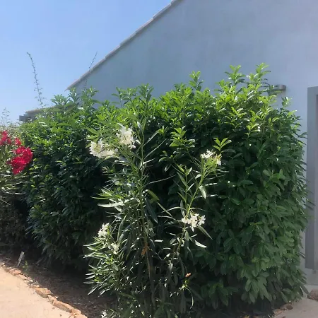 Chez Muriel * Porto Vecchio